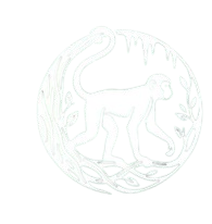 La Ruta del Chango